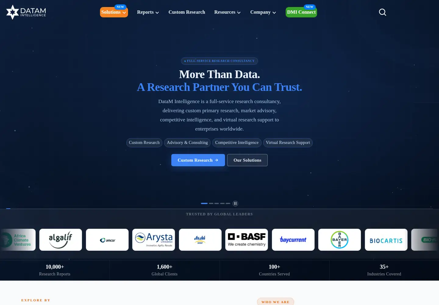 Captured homepage of datamintelligence.com in the current scan