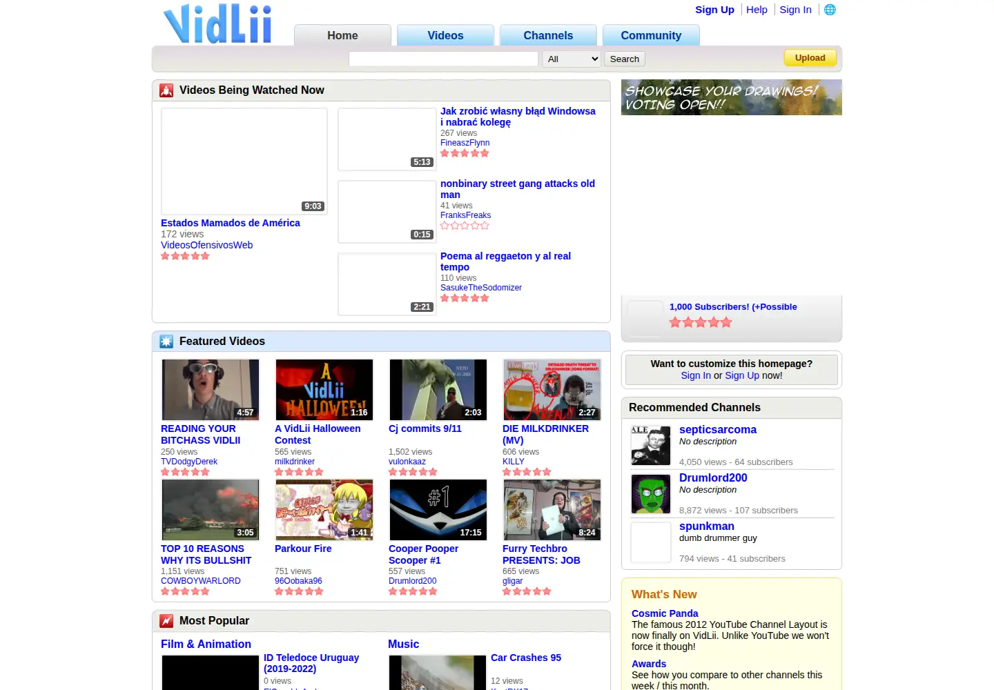Screenshot of vidlii.com