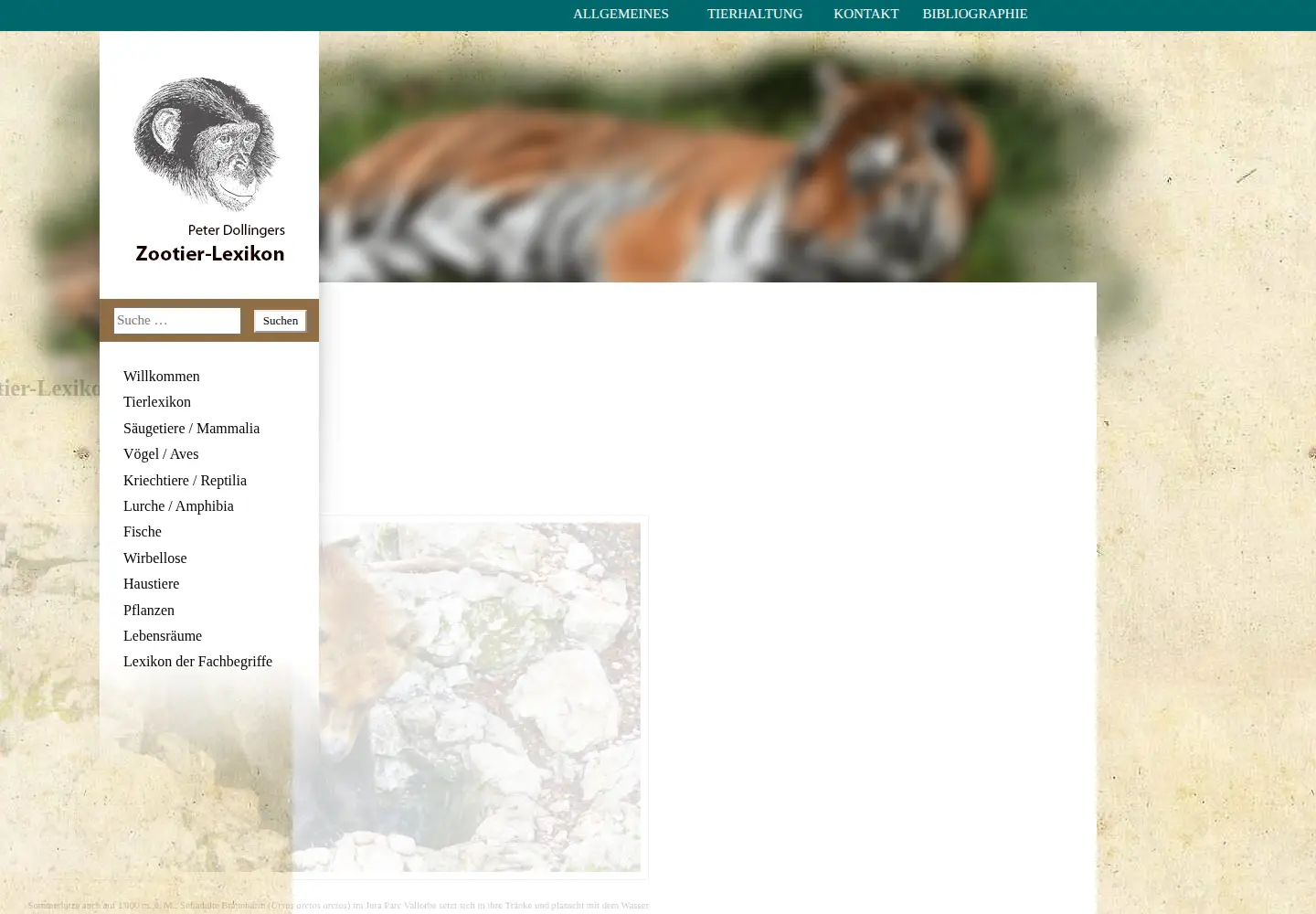 Screenshot of zootier-lexikon.org