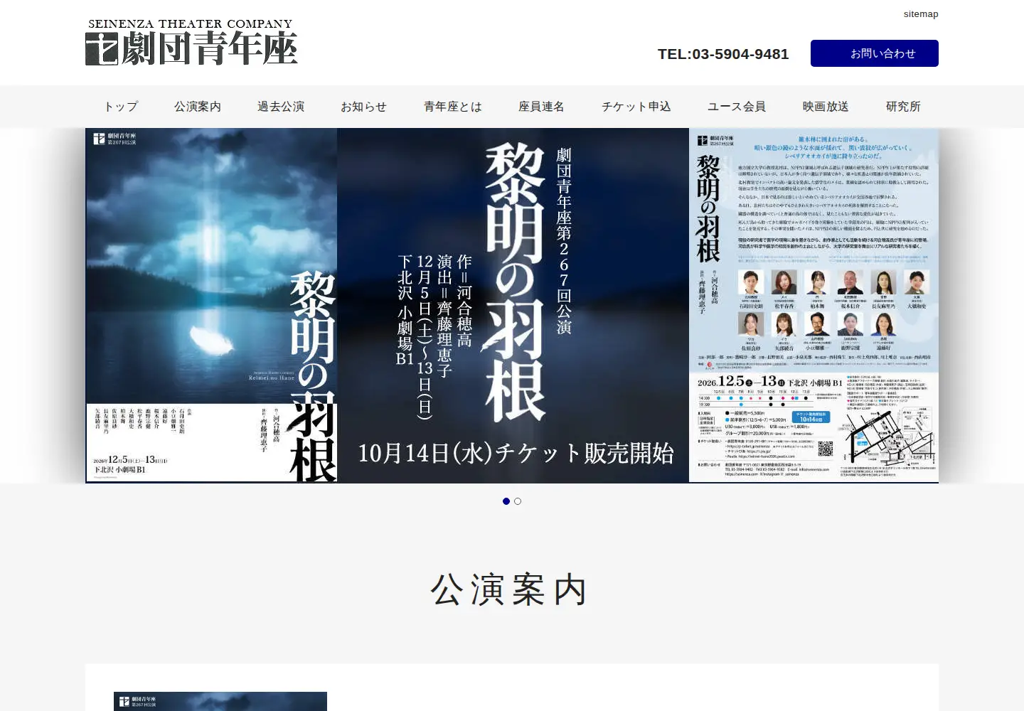 Screenshot of seinenza.com