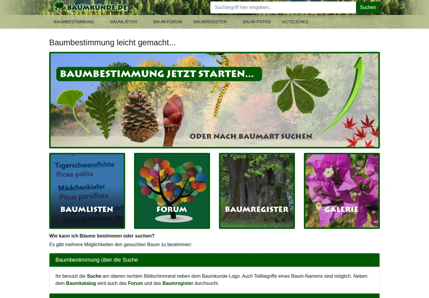 Captured homepage of baumkunde.de in the current scan