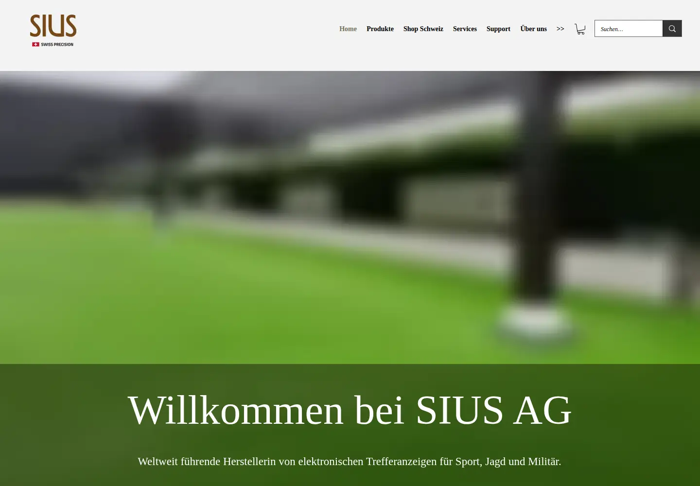Captured homepage of sius.com in the current scan