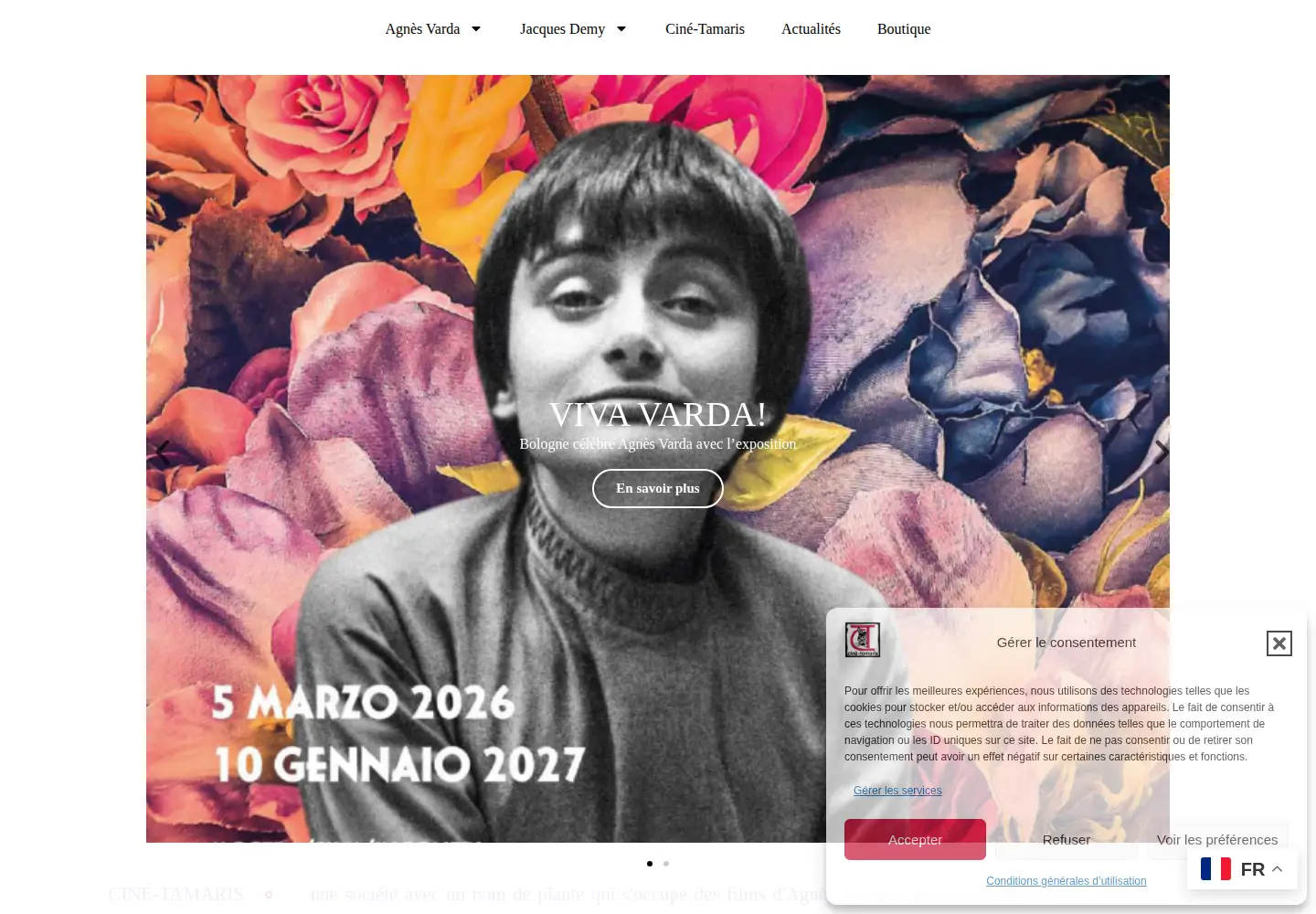 Captured homepage of cine-tamaris.fr in the current scan