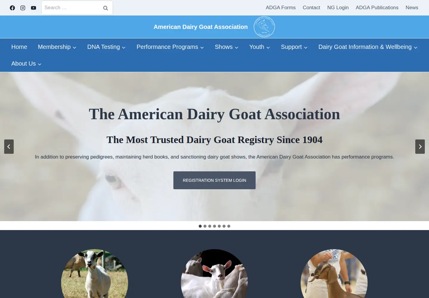 Screenshot of adga.org