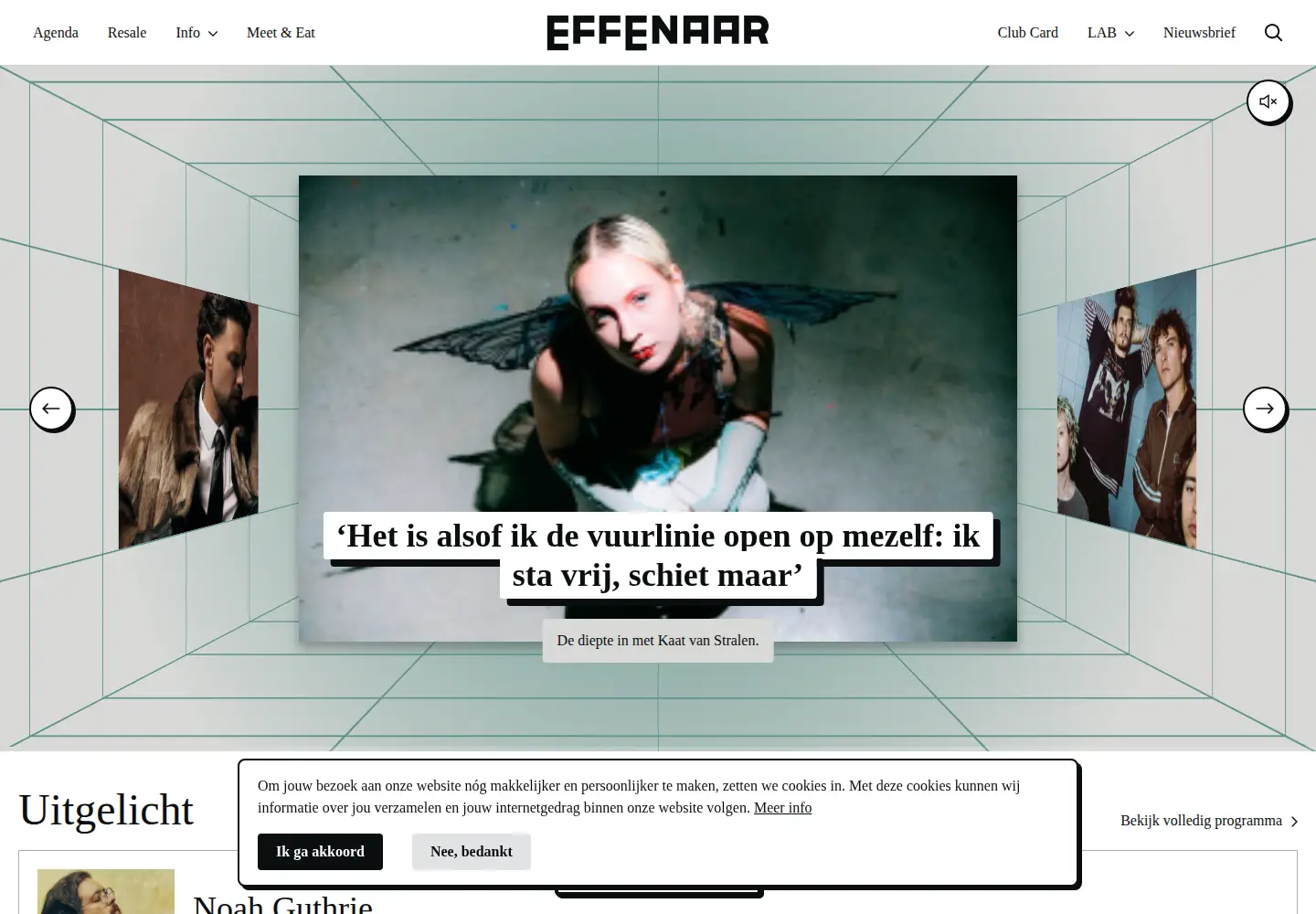 Screenshot of effenaar.nl