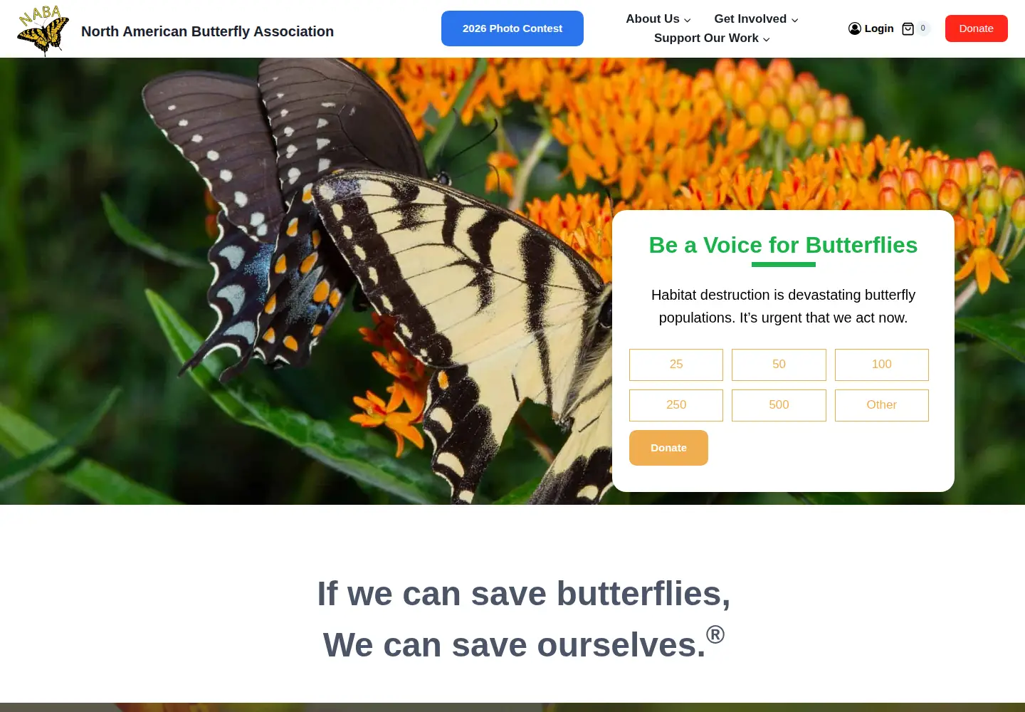 Screenshot of naba.org