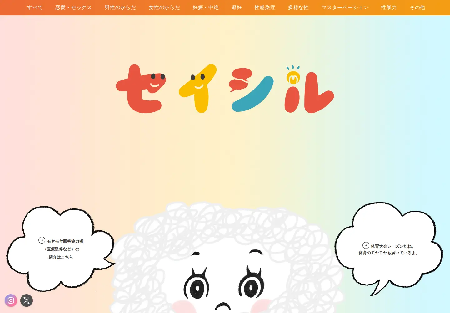 Captured homepage of seicil.com in the current scan