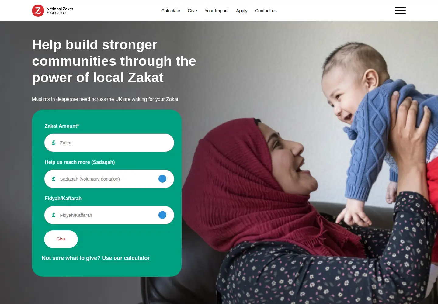 Screenshot of nzf.org.uk