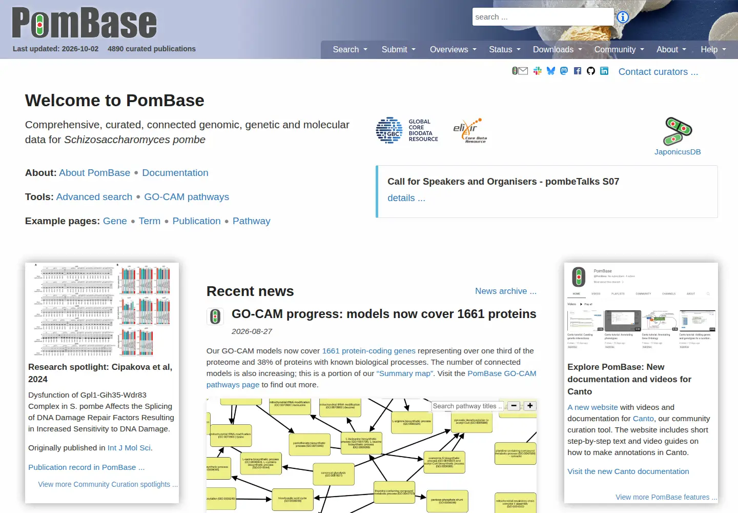 Screenshot of pombase.org