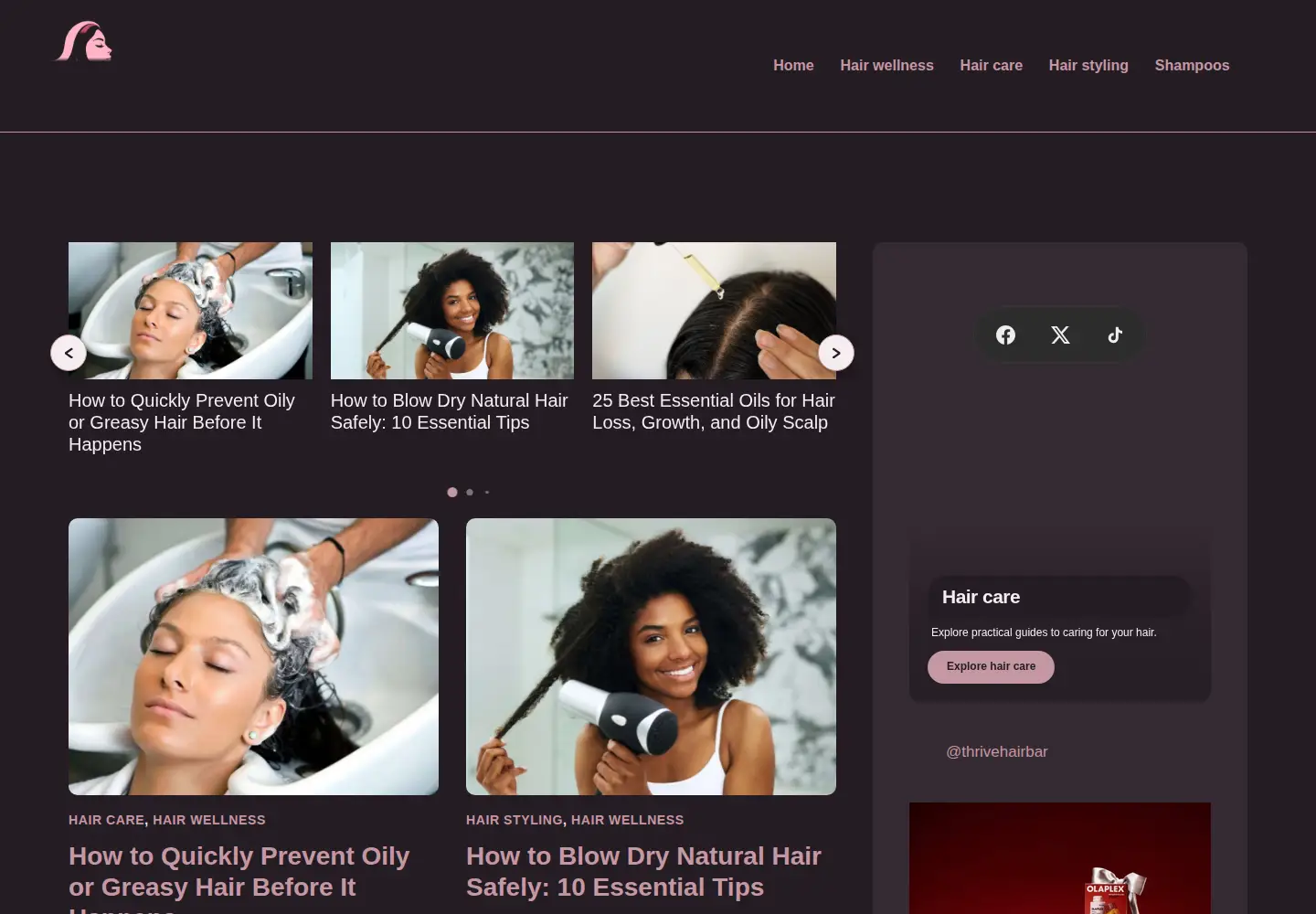 Screenshot of snowdenfilm.com