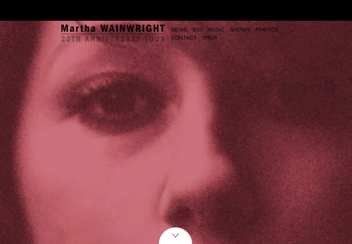 Captured homepage of marthawainwright.com in the current scan