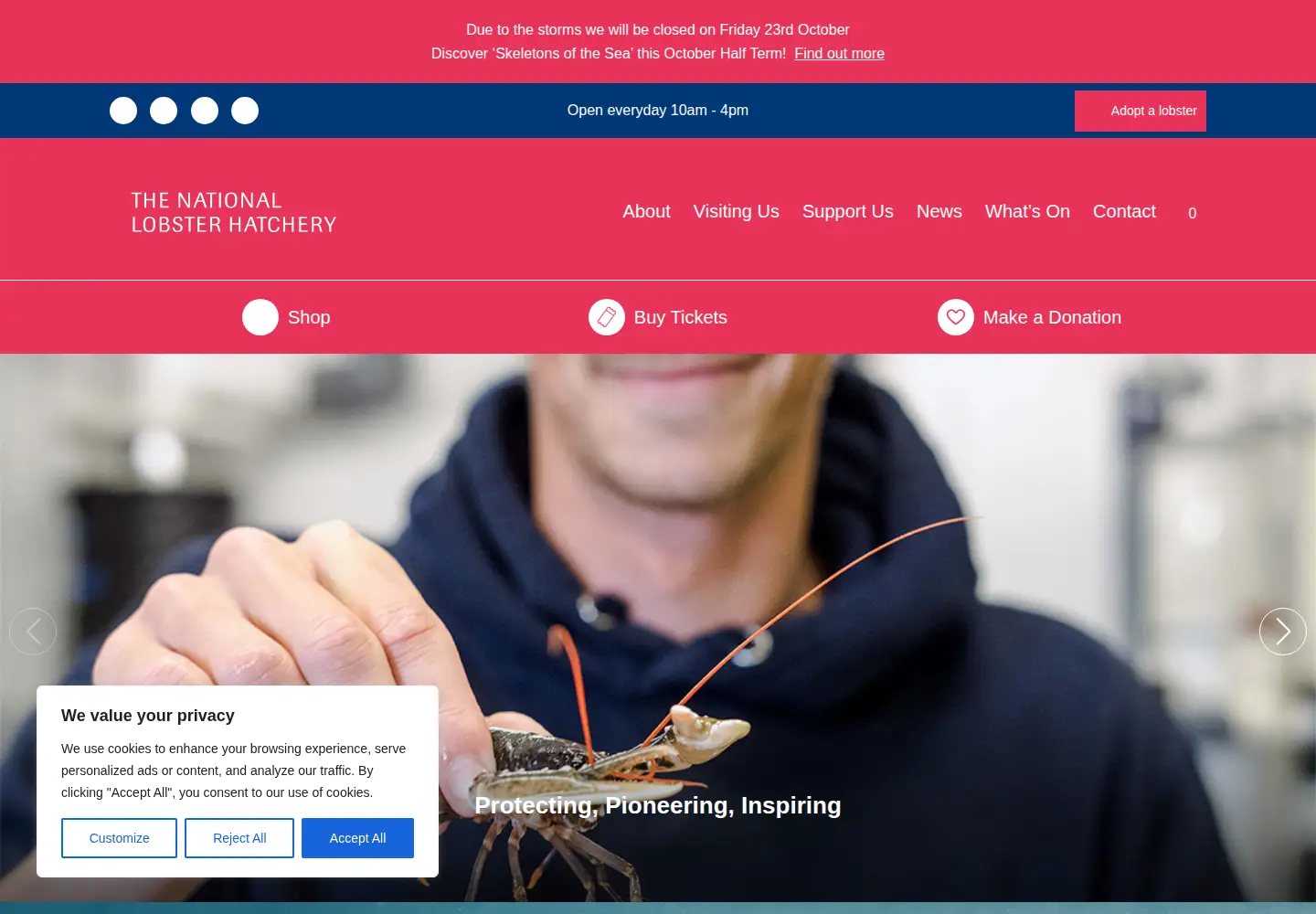 Captured homepage of nationallobsterhatchery.co.uk in the current scan
