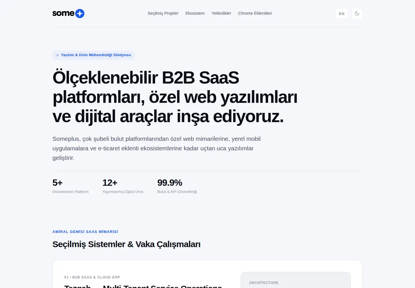 Captured homepage of someplus.work in the current scan