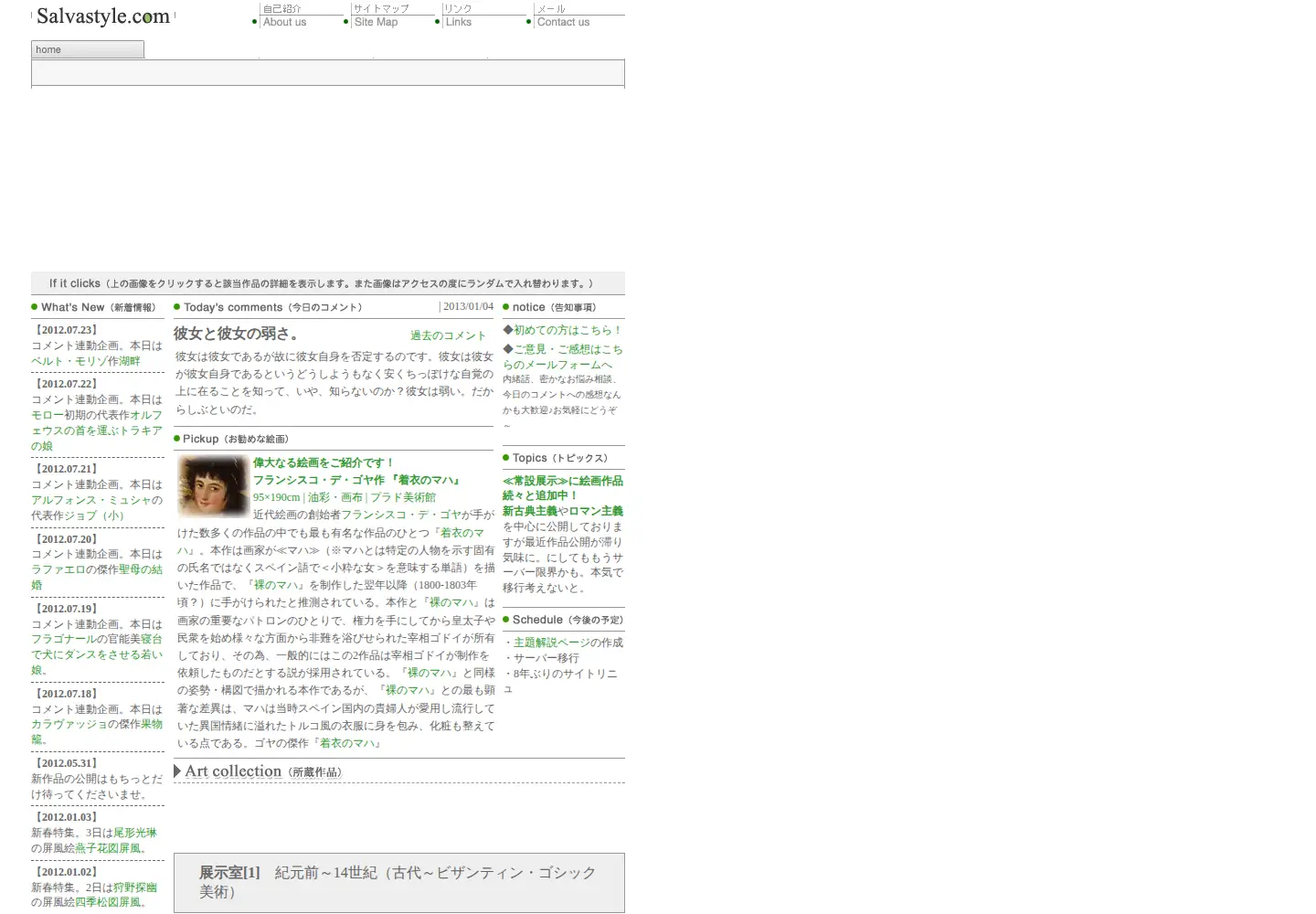 Screenshot of salvastyle.com