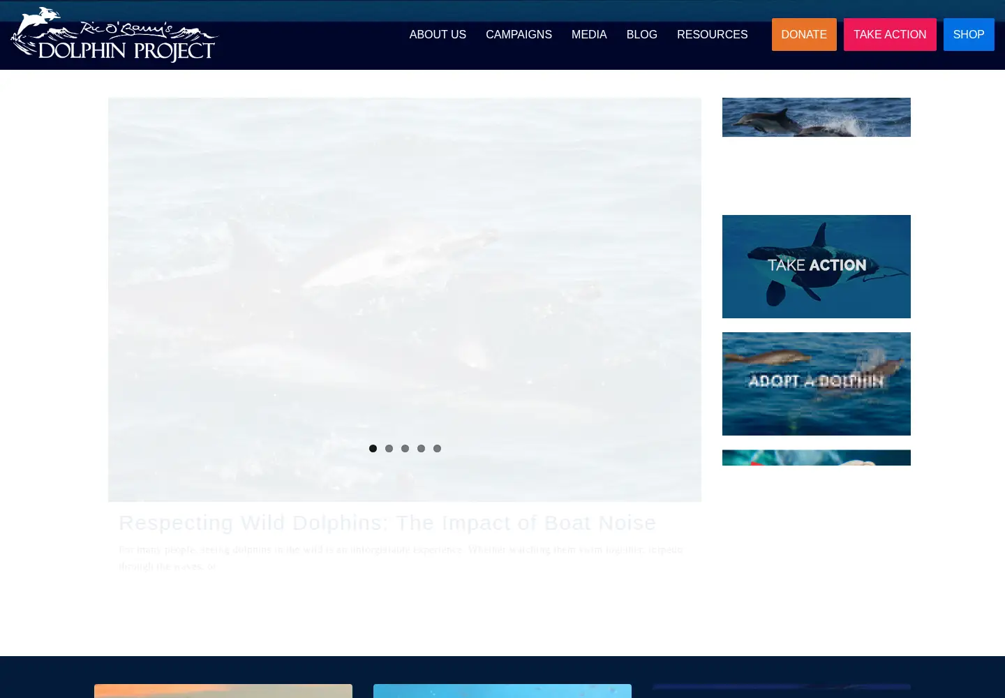 Screenshot of dolphinproject.net