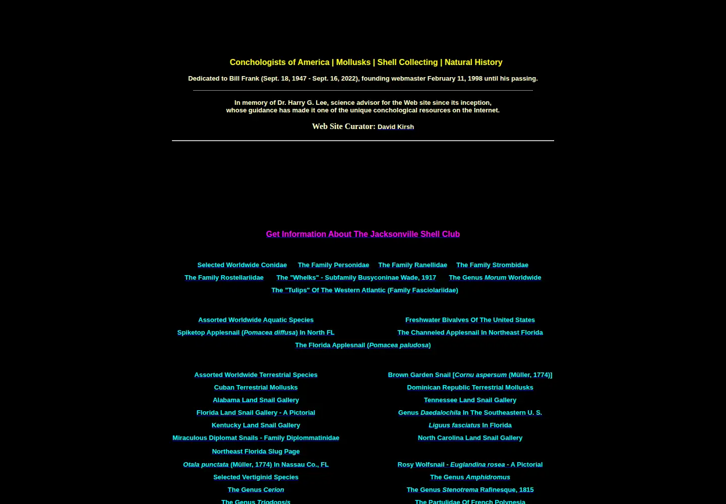 Screenshot of jaxshells.org