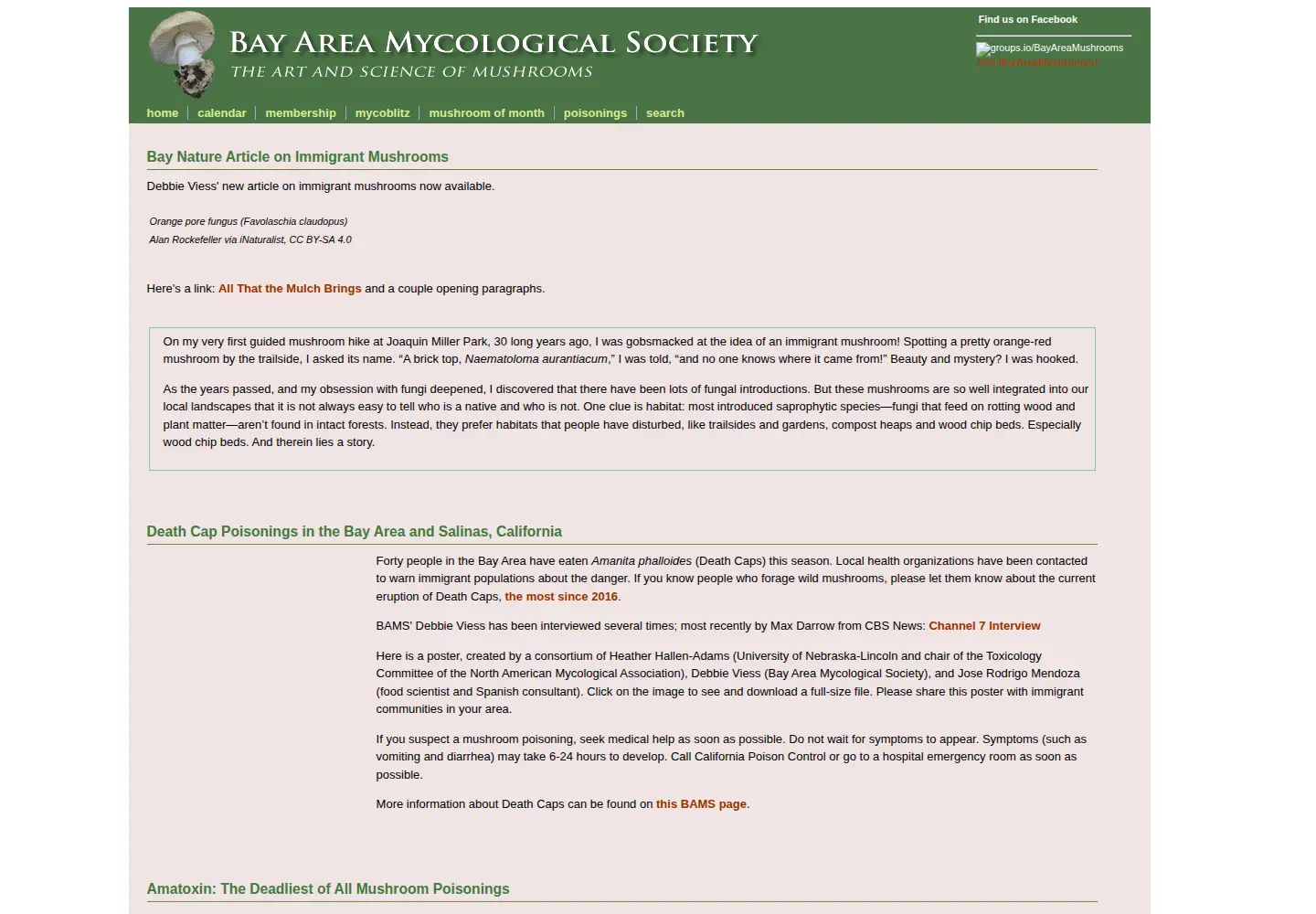 Screenshot of bayareamushrooms.org