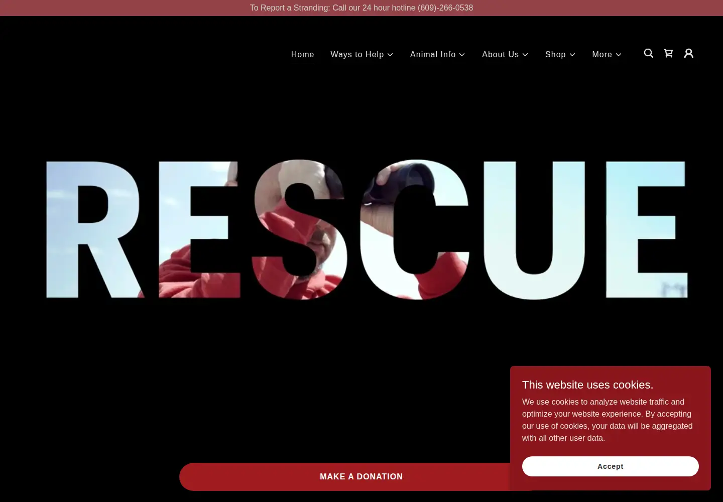 Screenshot of mmsc.org