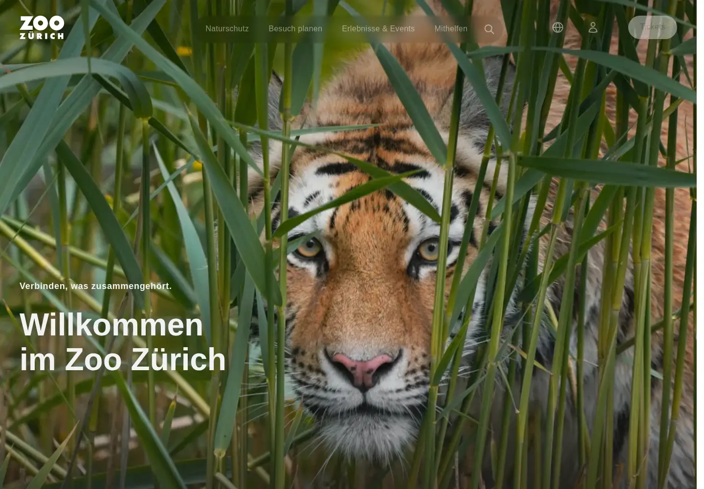 Screenshot of zoo.ch