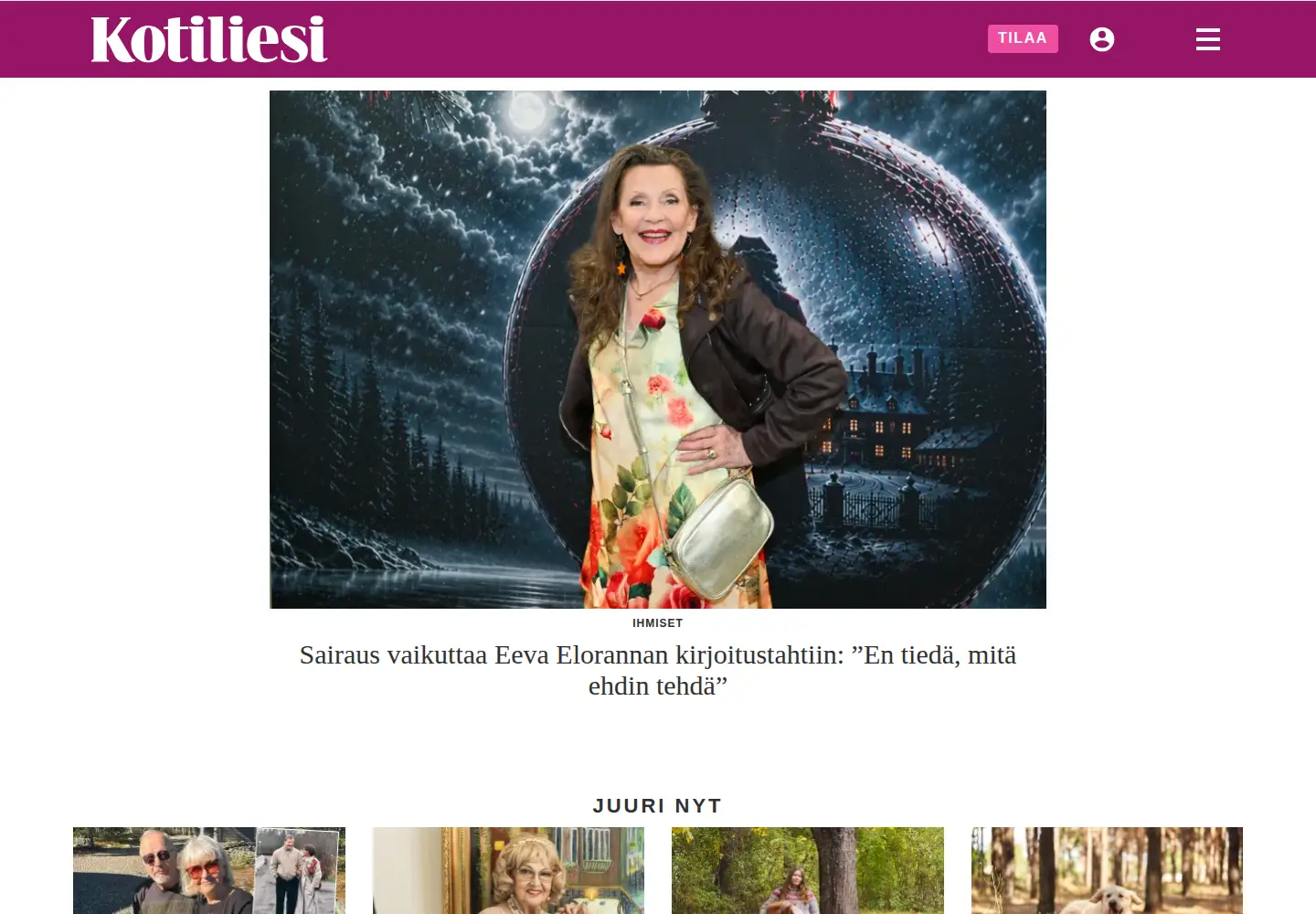 Screenshot of kotiliesi.fi