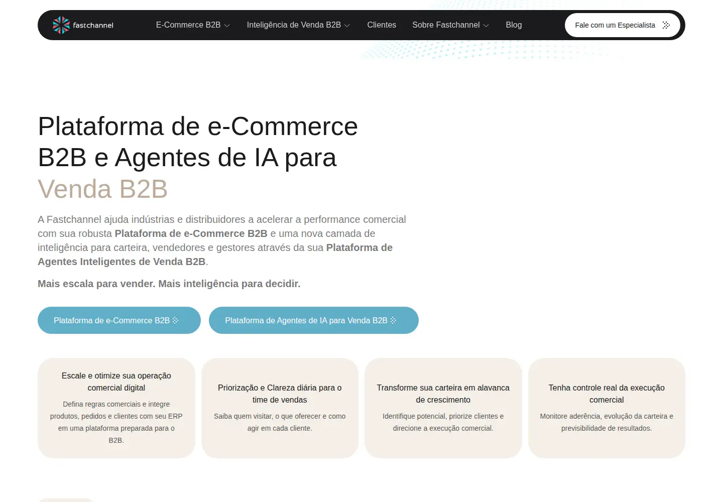 Captured homepage of fastchannel.com in the current scan