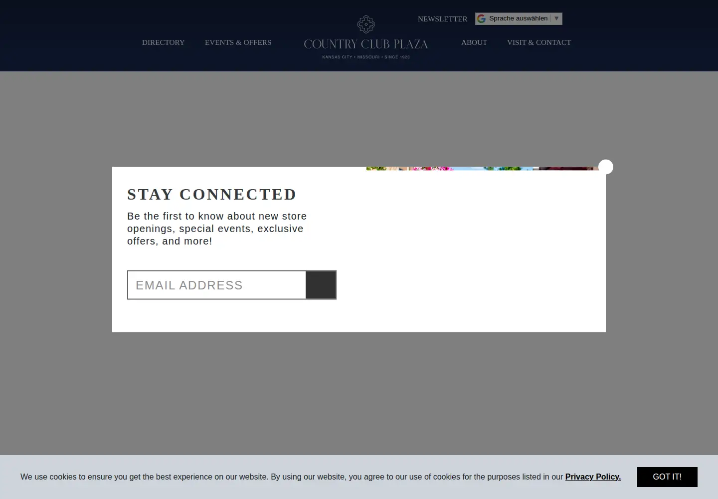 Captured homepage of countryclubplaza.com in the current scan