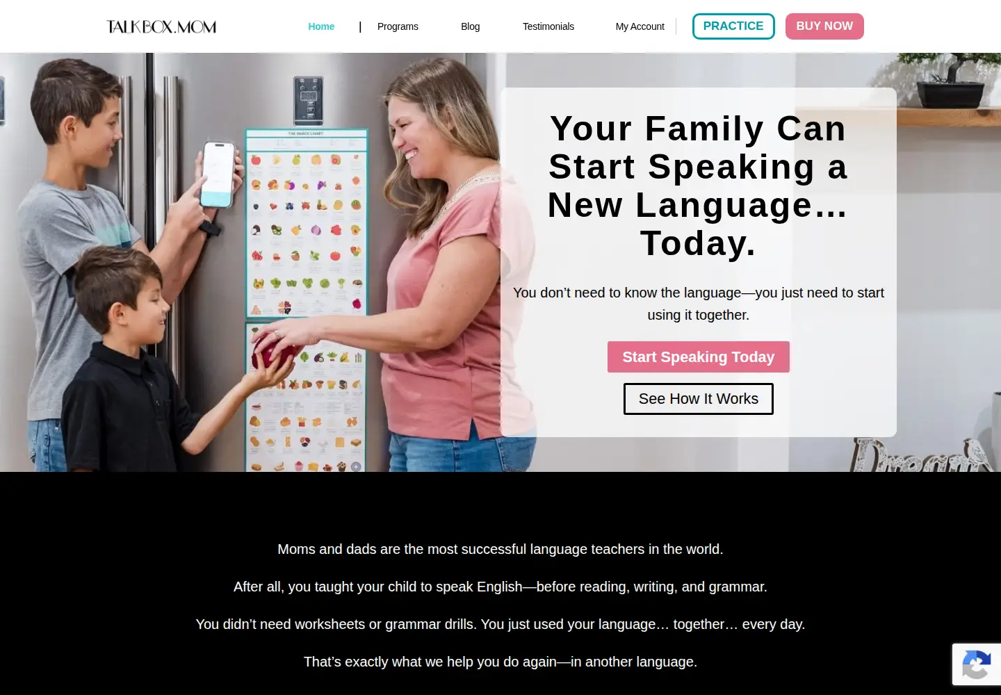 Captured homepage of talkbox.mom in the current scan
