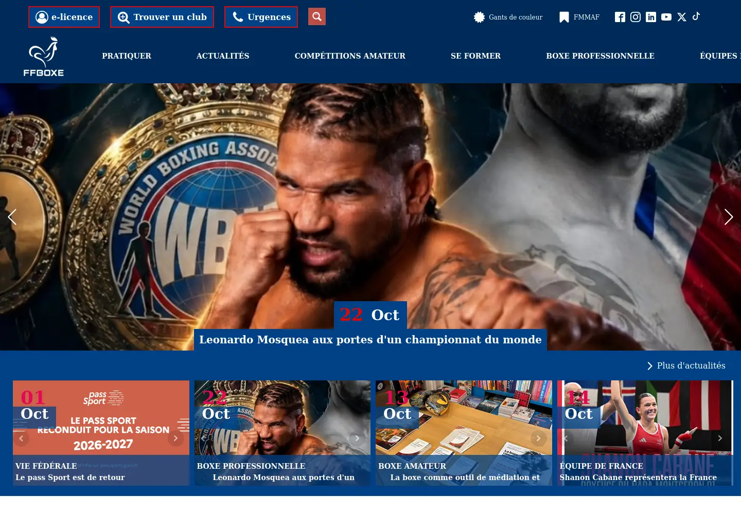 Screenshot of ffboxe.com