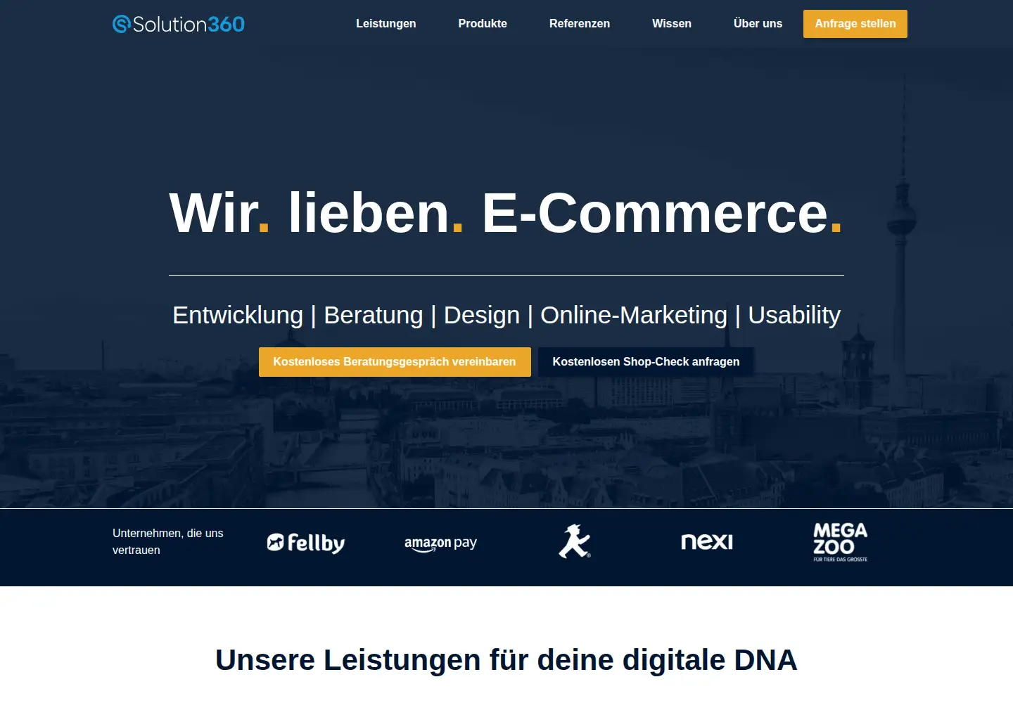 Screenshot of solution360.de