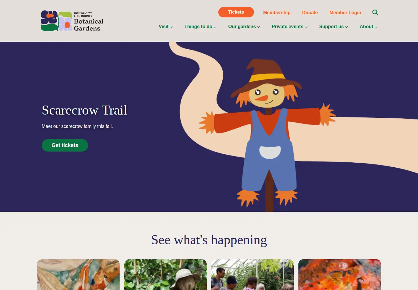 Screenshot of buffalogardens.com