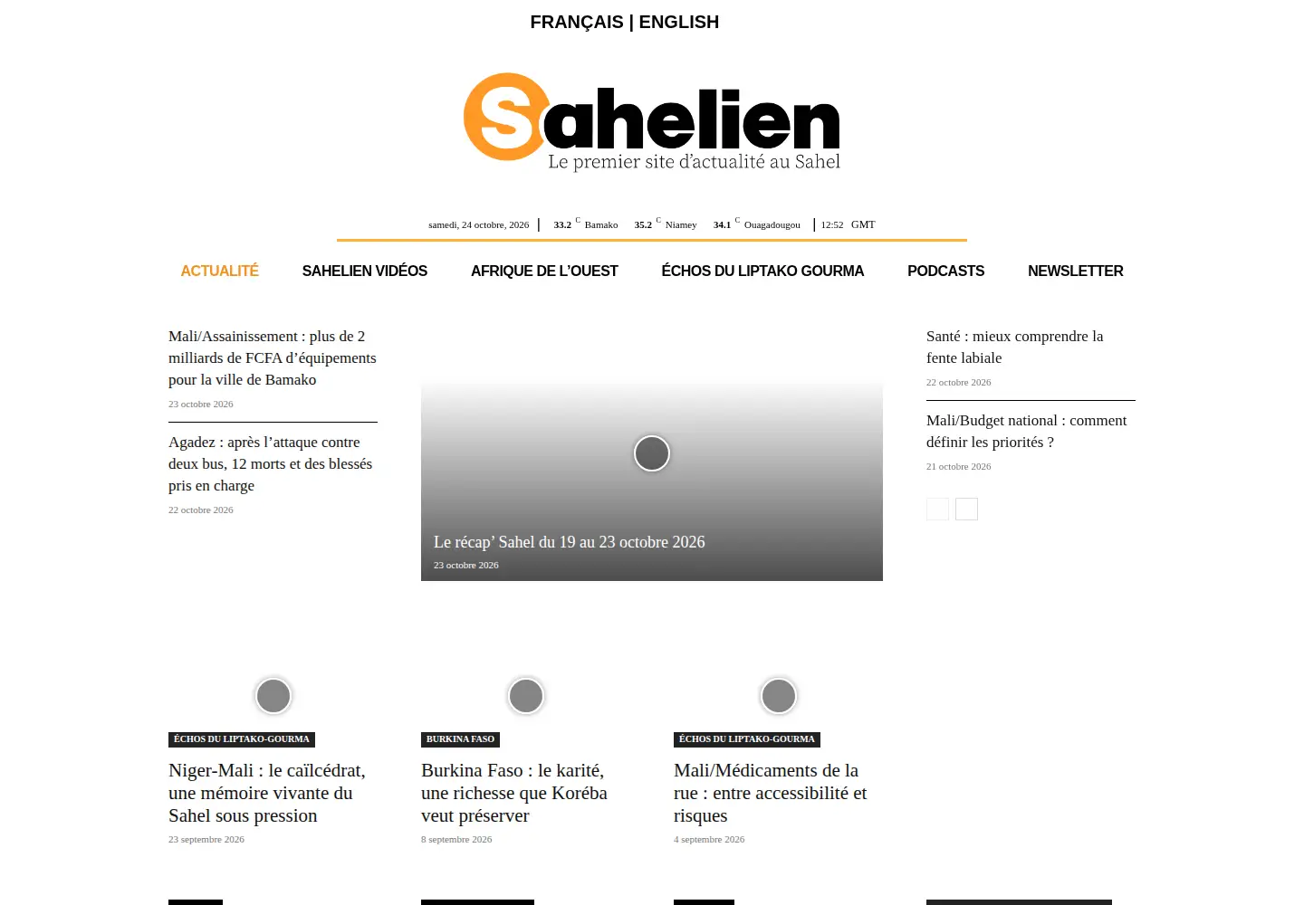 Screenshot of sahelien.com