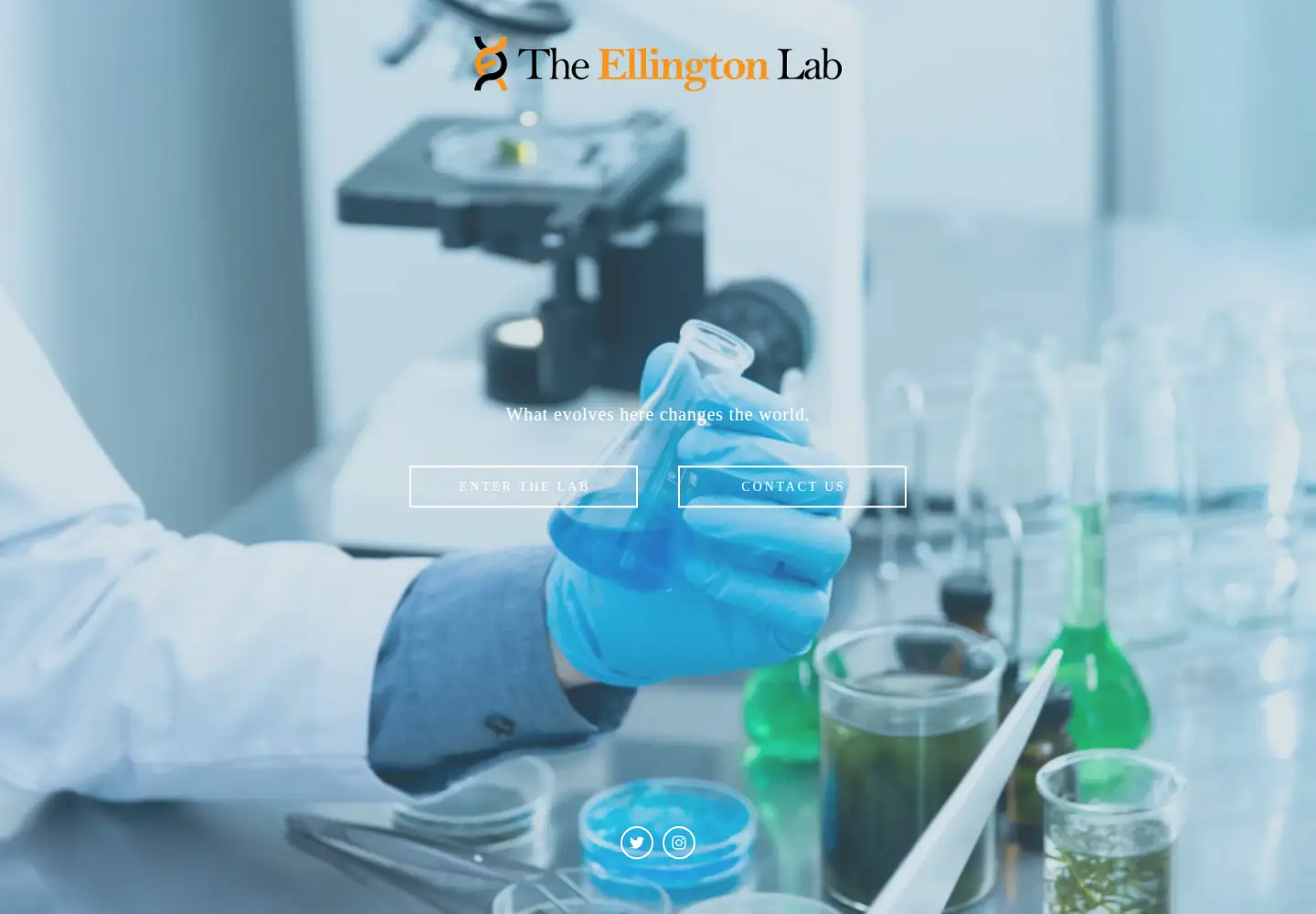 Captured homepage of ellingtonlab.org in the current scan
