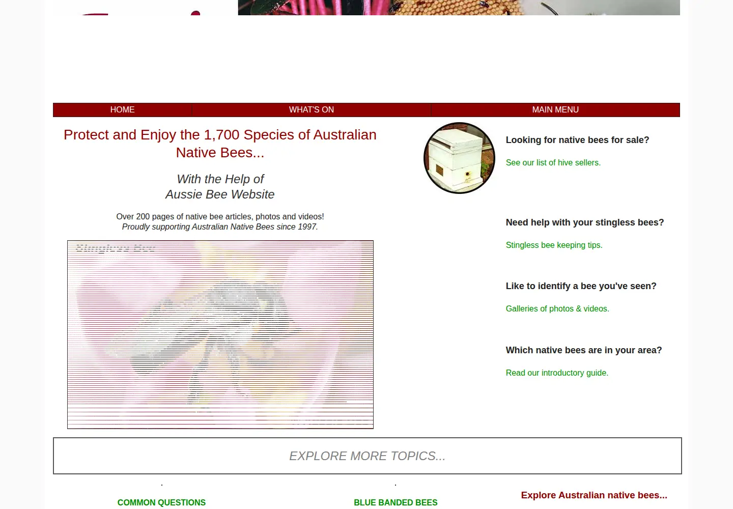 Screenshot of aussiebee.com.au