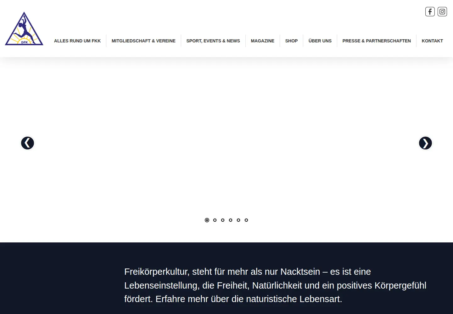 Screenshot of dfk.org