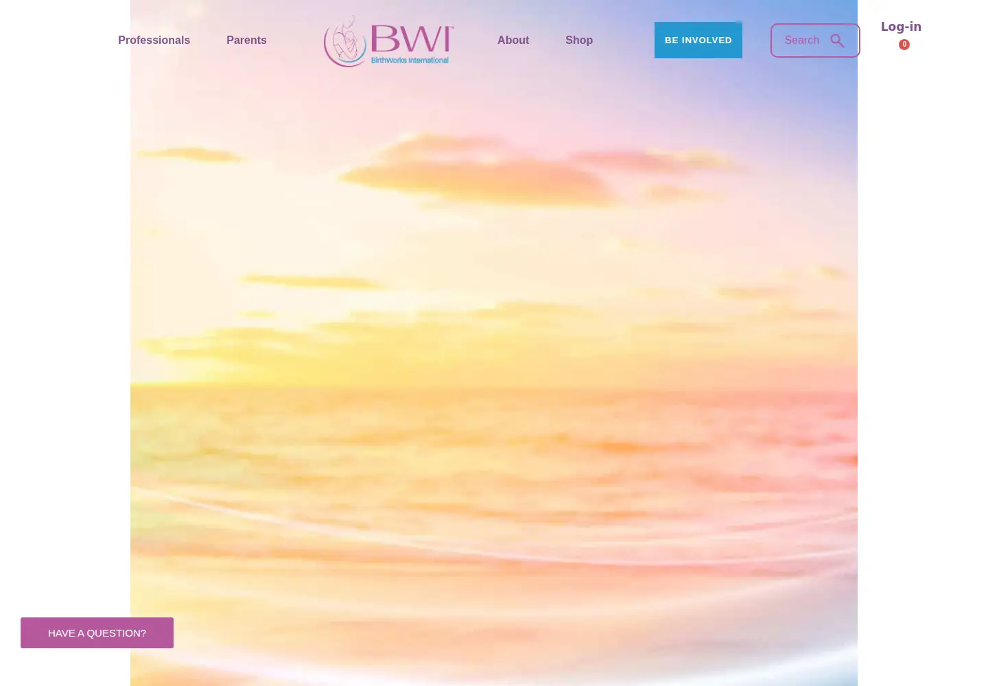 Screenshot of birthworks.org