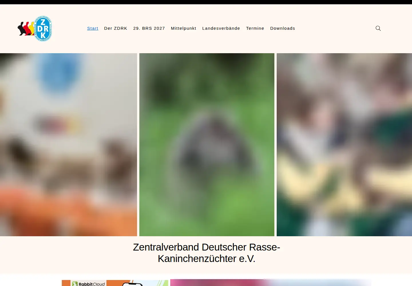 Captured homepage of zdrk.de in the current scan