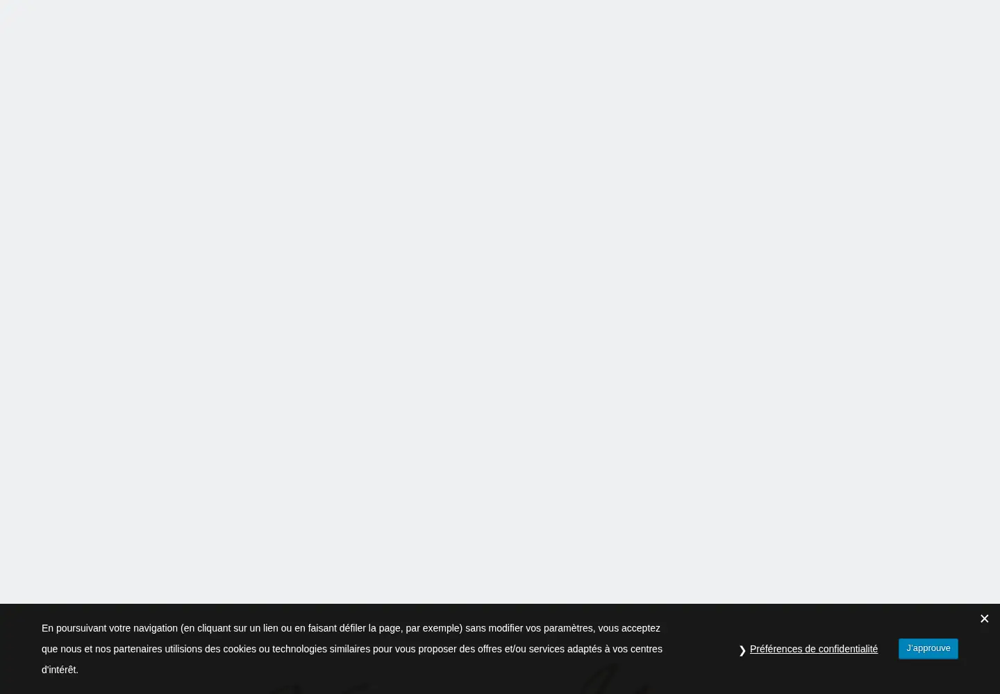 Captured homepage of victor-hugo.lu in the current scan