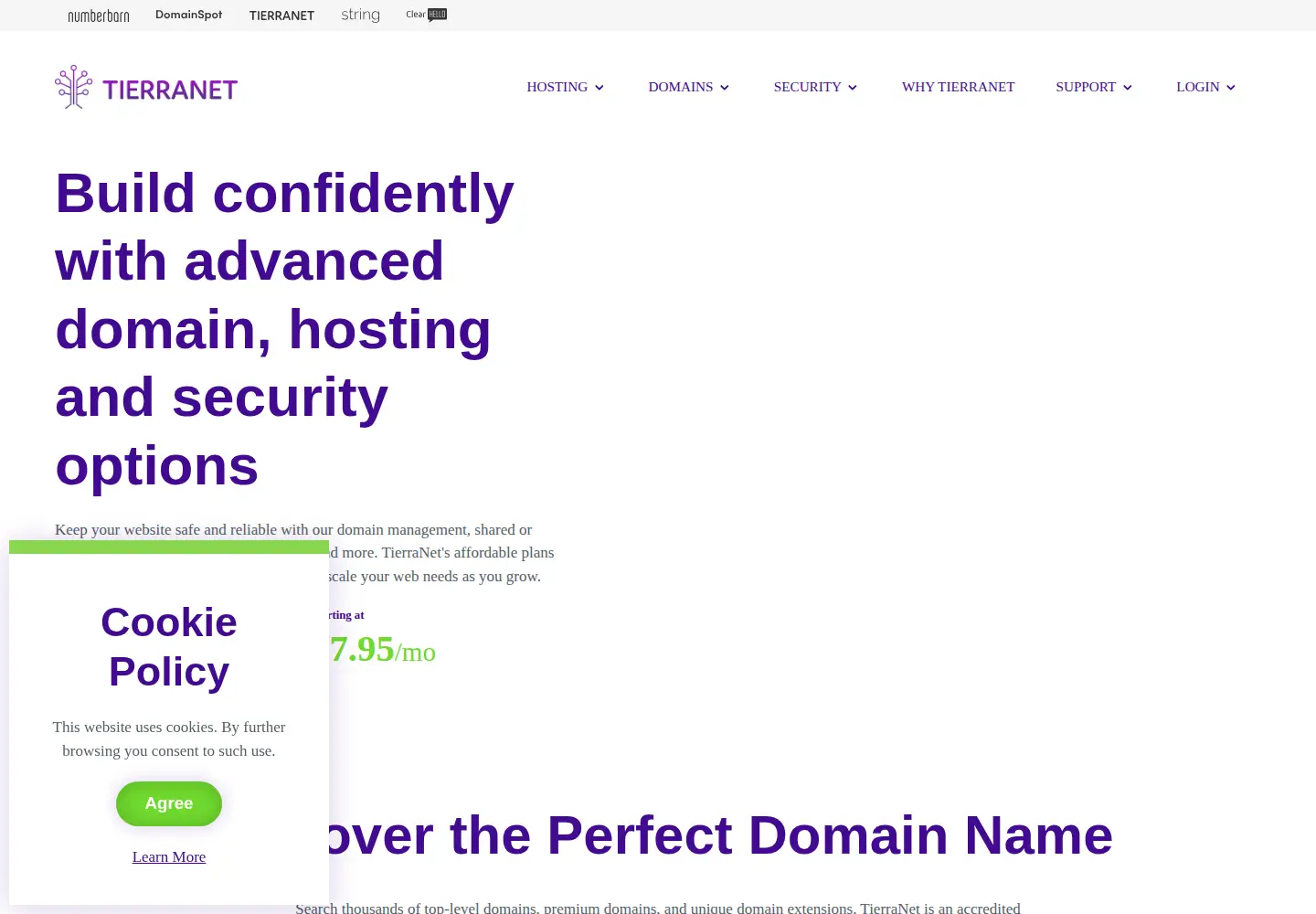 Captured homepage of tierranet.com in the current scan