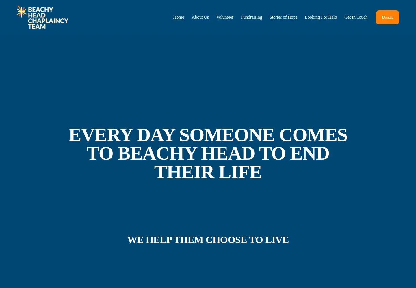 Screenshot of bhct.org.uk