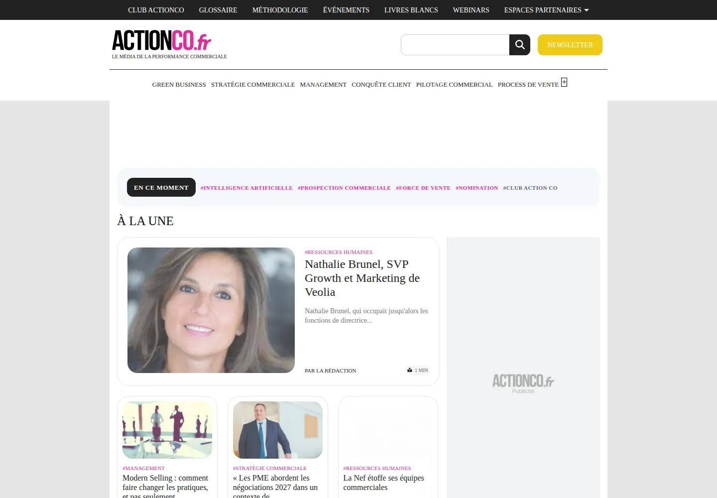 Captured homepage of actionco.fr in the current scan