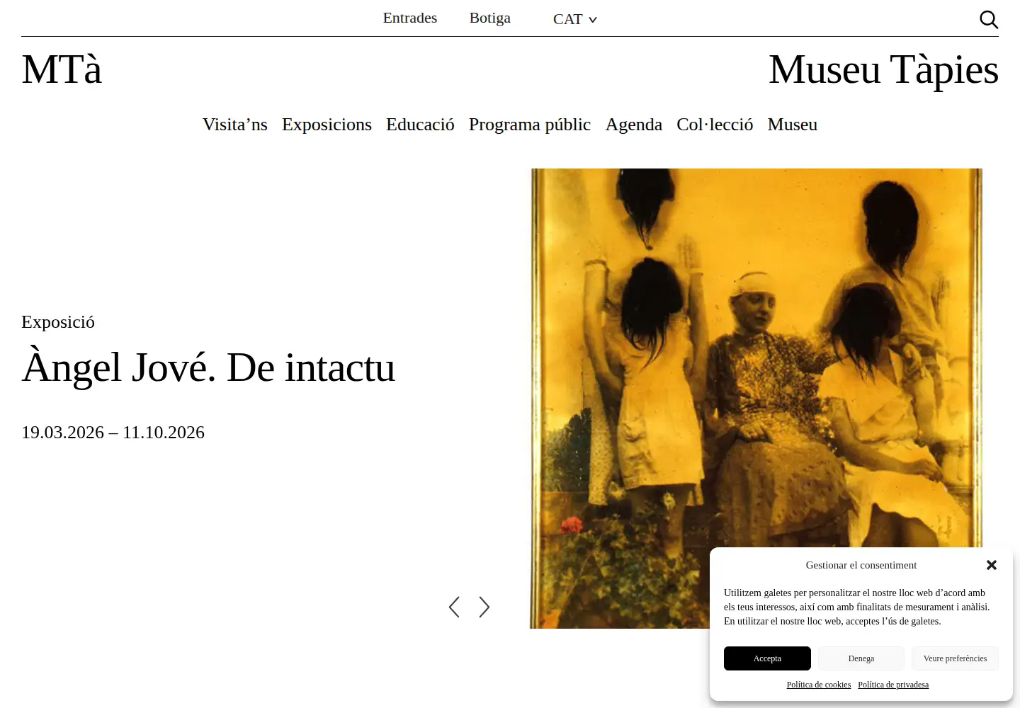Screenshot of fundaciotapies.org