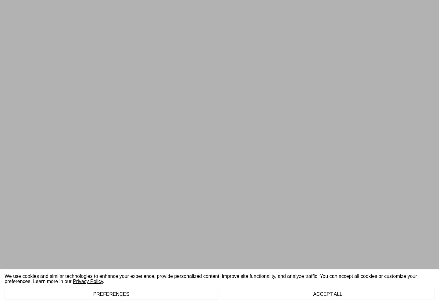 Captured homepage of bdbarcelona.com in the current scan