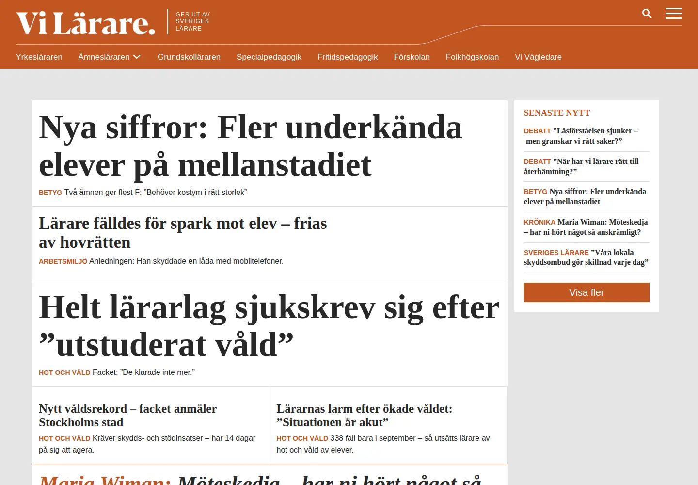 Captured homepage of vilarare.se in the current scan