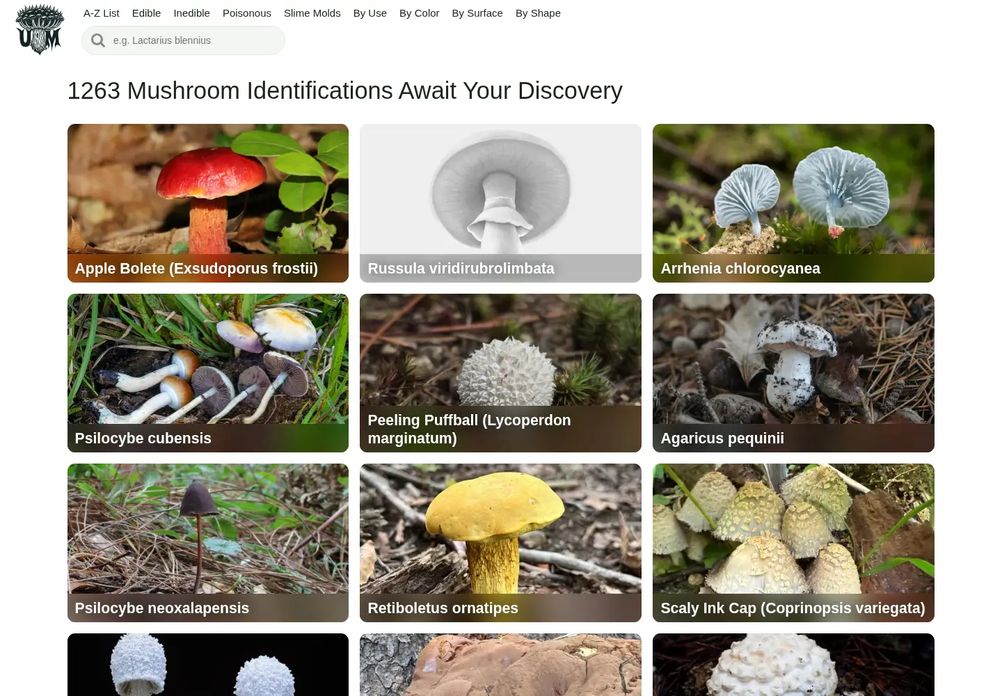 Screenshot of ultimate-mushroom.com