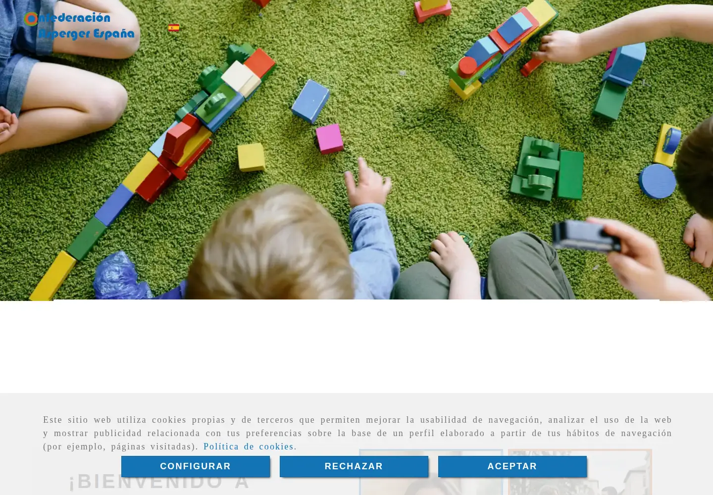 Captured homepage of asperger.es in the current scan