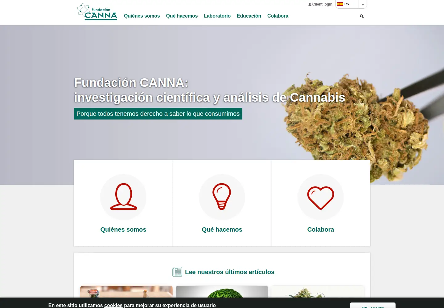 Screenshot of fundacion-canna.es