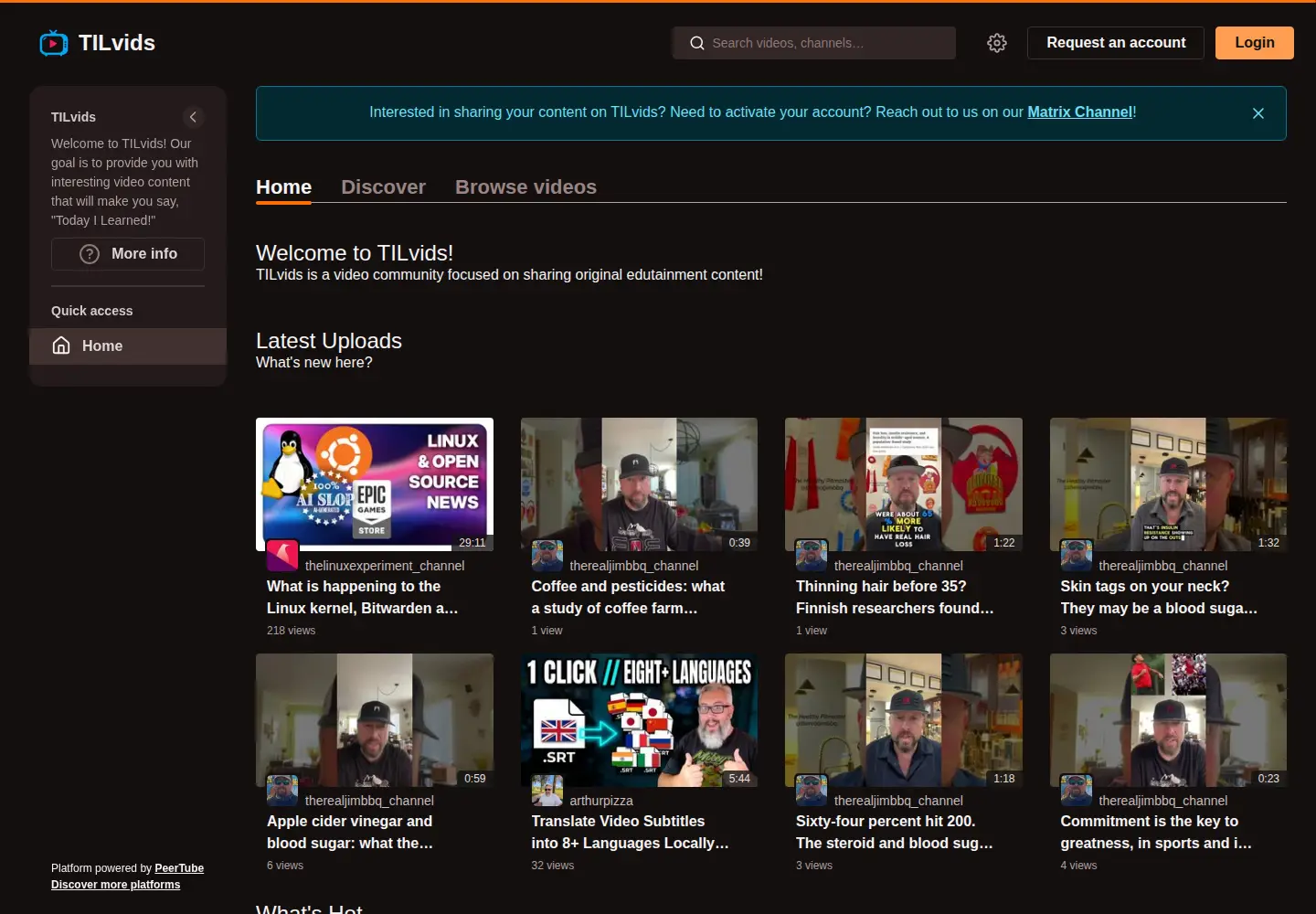 Captured homepage of tilvids.com in the current scan