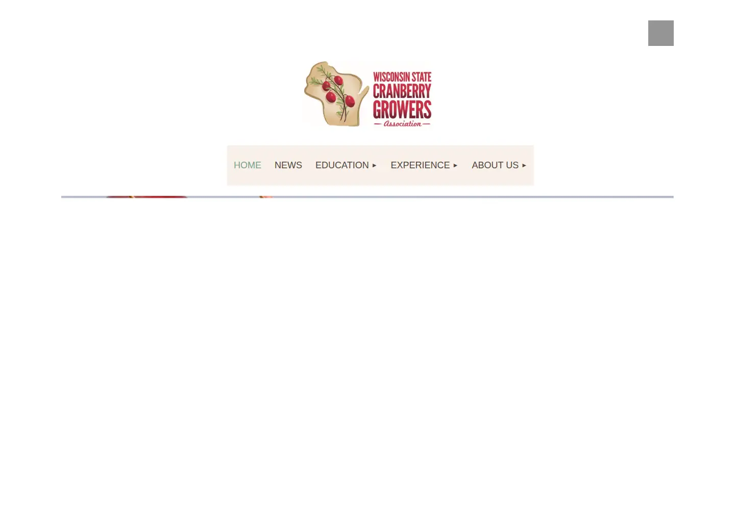 Screenshot of wiscran.org