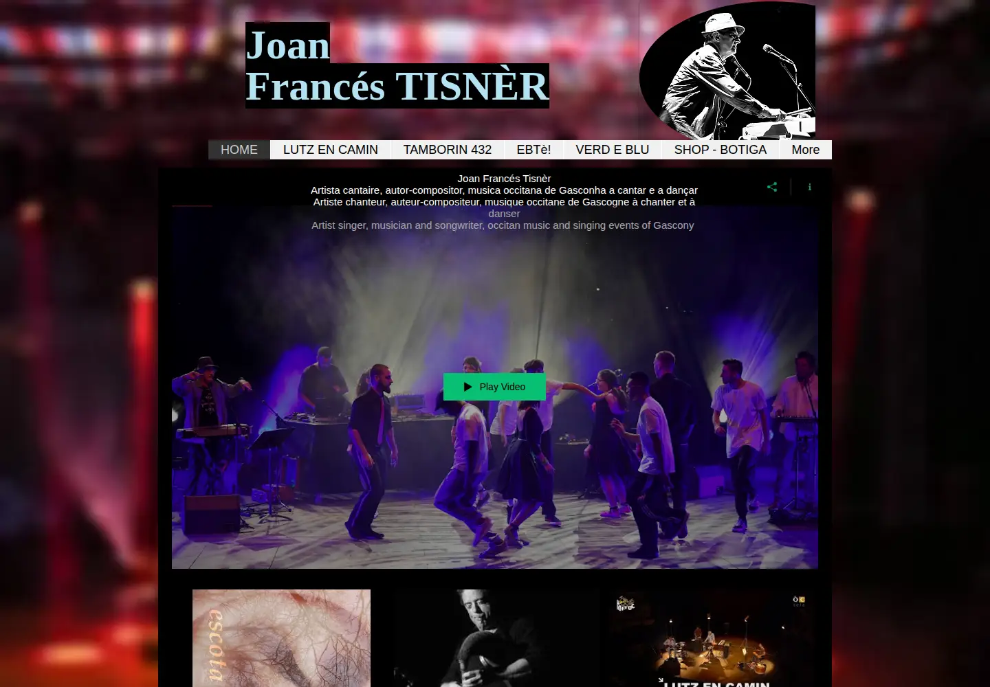 Screenshot of joanfrancestisner.com