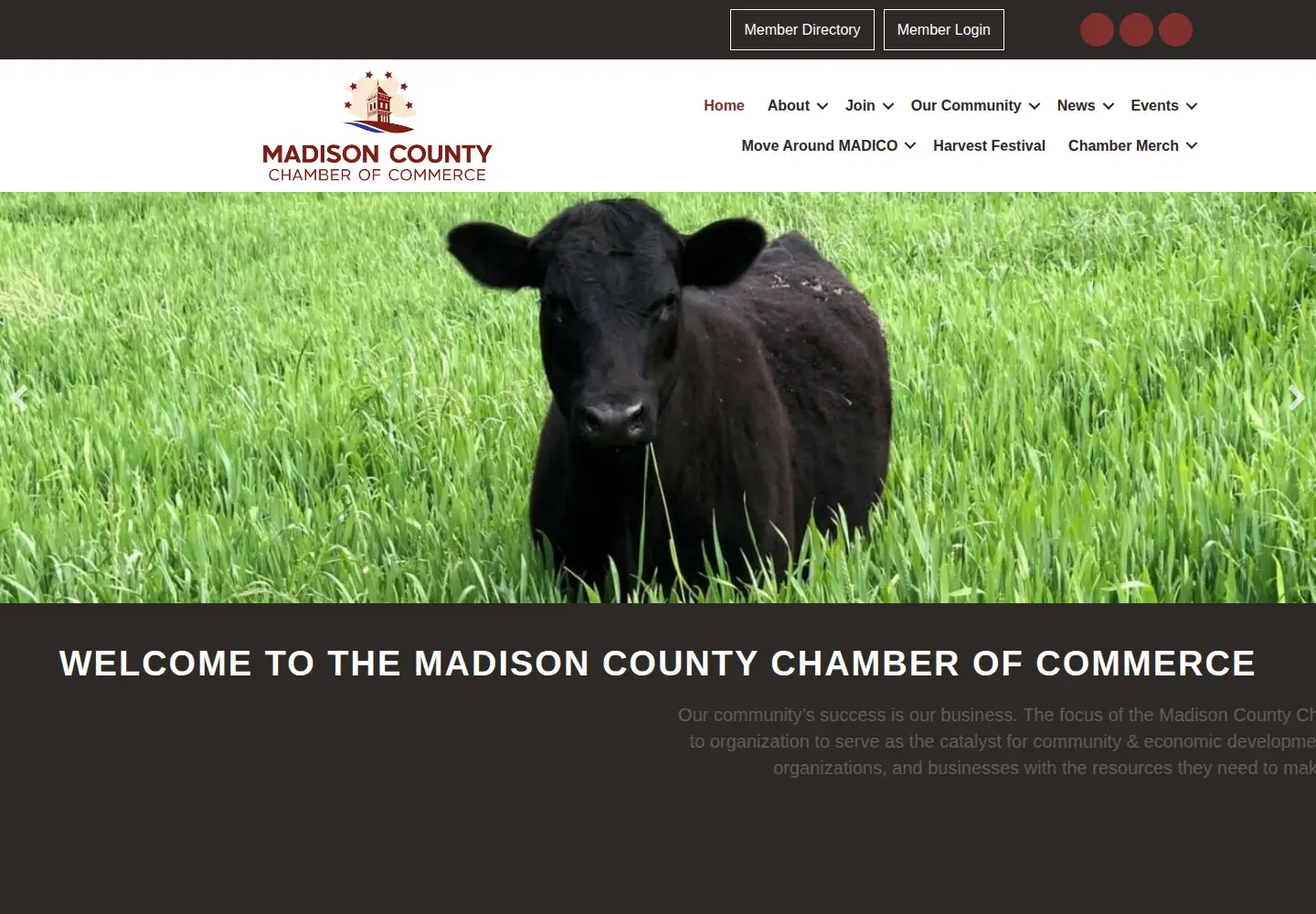 Captured homepage of madisoncountyga.org in the current scan